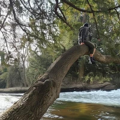 Gregory Davis's profile picture